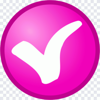 Check mark Election Voting Computer Icons PNG