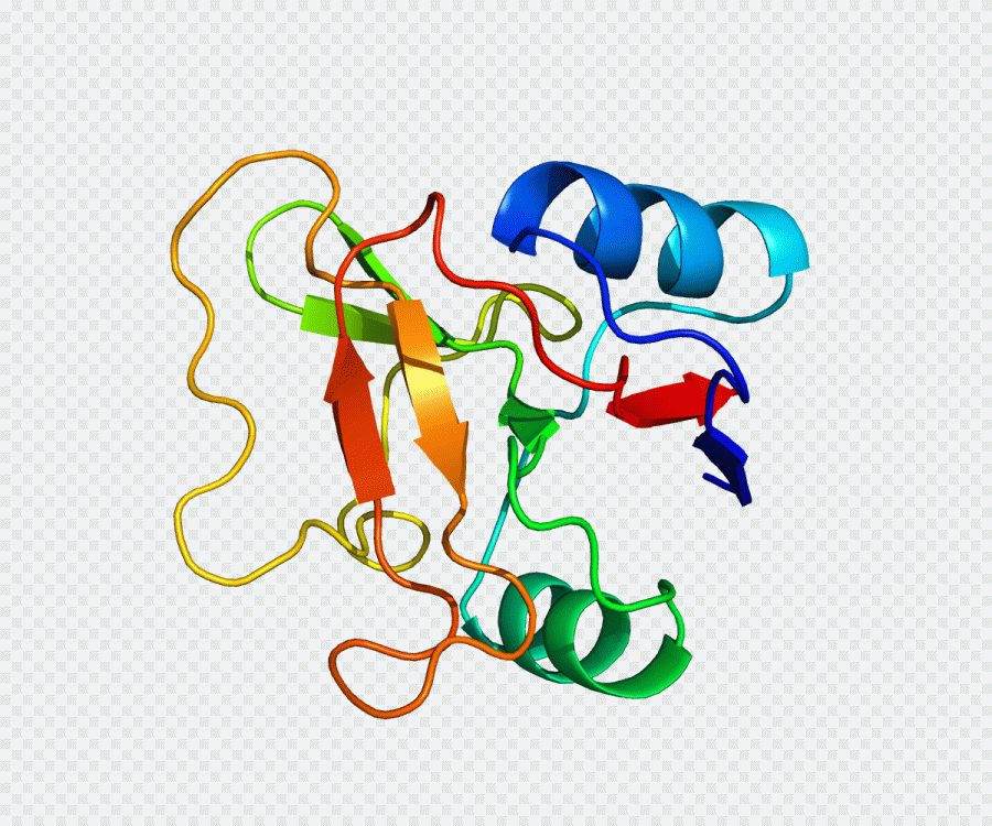 Texto, célula, proteína, ilustración PNG