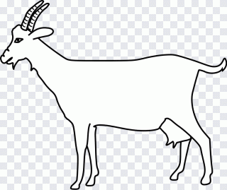 Antílope, anatomía humana, caprinos PNG