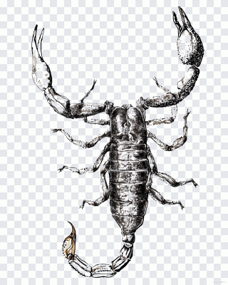 Drawing Painting Illustration, Simple PNG