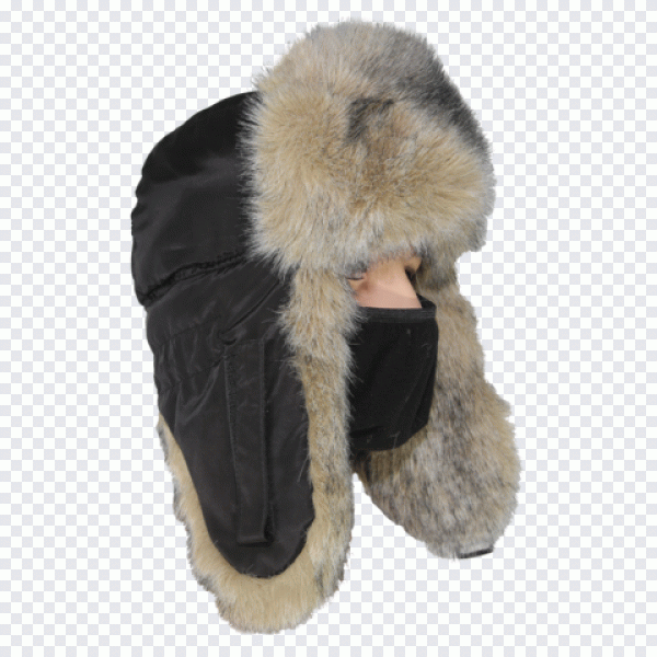 Gray wolf Fur Ushanka Cap Online shopping PNG