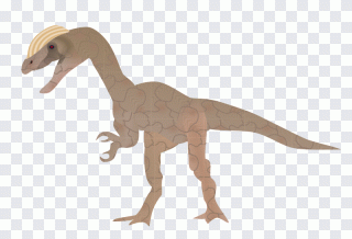Quebra-cabeça, dinossauro, terra PNG