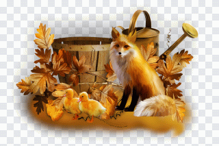 Automne, renard, feuilles, renard roux PNG