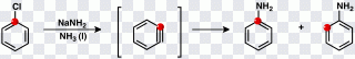 Aryne Chlorobenzene Aniline Chemistry PNG