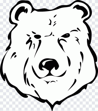 Panda gigante, oso, patrón, cabeza, blanco PNG