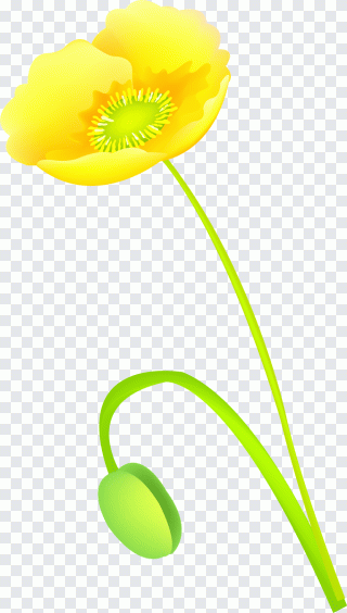 Tige, plante, fleur, art, çiçek Resimleri PNG