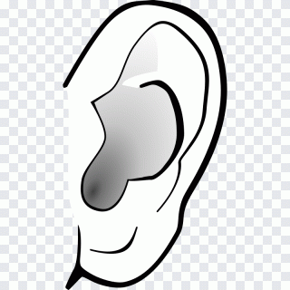 Ohr, weiß, Gesicht, Gehör, Ton PNG
