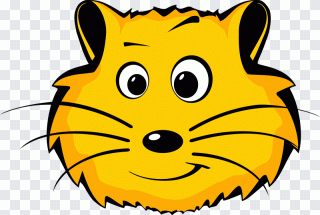 Cara, animal, amarillo, gato, ternura PNG