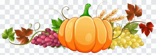 Fruta, cabaça, abóbora, outono, decoração PNG