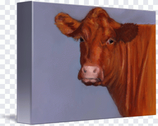 Hereford cattle Paper Beef cattle Zazzle PNG