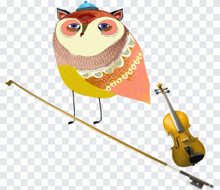 Hibou, illustrateur, illustration, dessin PNG