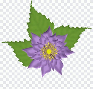 Blume, fleur, amour, violet, plante herbacée PNG