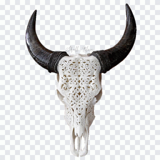 Toro, cabra, calavera, cuerno, cornamenta PNG