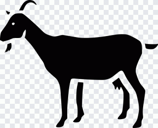 Ziege, Schaf, Landwirtschaft, Bauernhof PNG