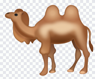 Camello, emoji, iphone, animal, camélidos PNG