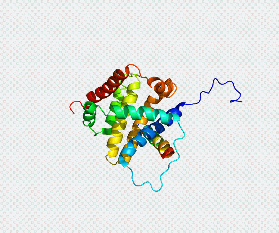 Proteína, célula, estrutura de proteínas PNG