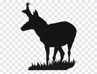 Elch, Hirsch, Silhouette, Zeichnung, Horn PNG
