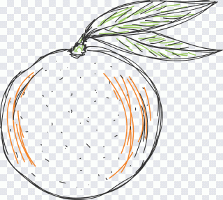 Pamplemousse, jus d’orange, jus, fruit PNG