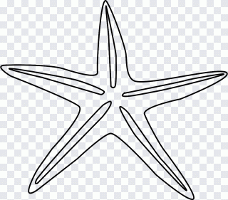 Drawing, animal PNG
