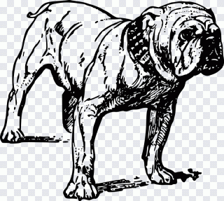 Welpe, Hund, Tiere, Gesellschaftshunde PNG