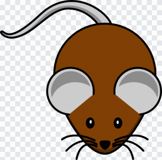 Ratte, Maus, Gesicht, Katze, Nagetier PNG