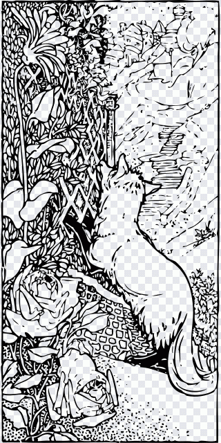 Renard, animal, escalade, nature PNG