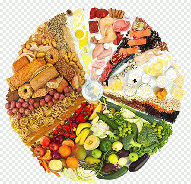 Dieta, salud, comida, receta, nutrición PNG