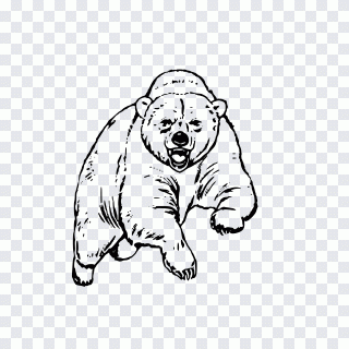 Californie, ours polaire, ours, blanc PNG