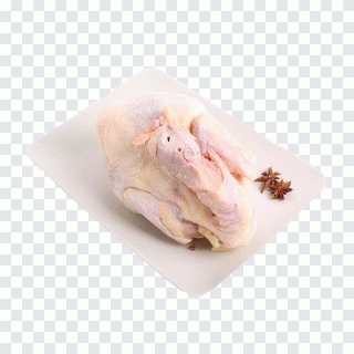 Frango, rede de computadores, corrida PNG