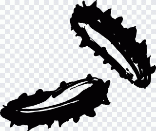 Gurke, Meeresfrüchte, Meer, Lebensmittel PNG