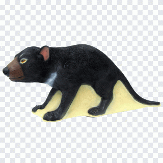 Tir à l'arc, faune, renard, fourrure PNG