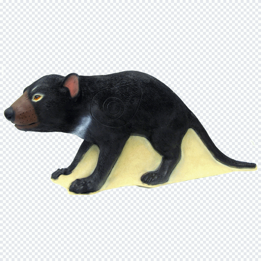 Tir à l'arc, faune, renard, fourrure PNG