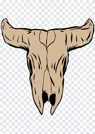 Cattle Midnight Art Time, animal skull PNG