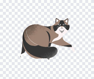 Chat noir, moustaches, chat, illustration PNG