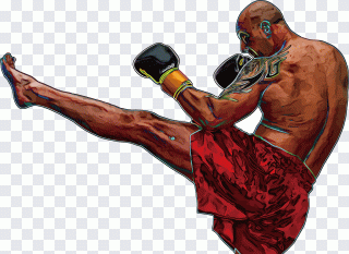 Boxeo, mano, guante de boxeo, brazo, combate PNG