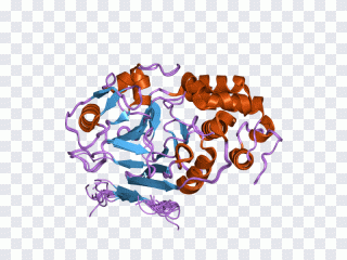 Text, Protein, lila PNG