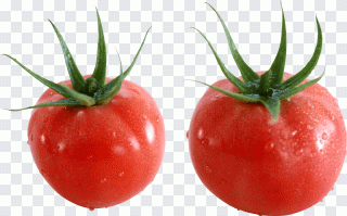 Tomate, alimentos naturais, comida PNG