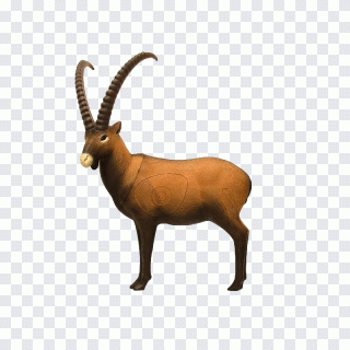 Tiro con arco, caza, cornamenta, bóvidos PNG