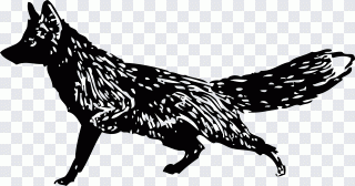 Renard, marche, noir et blanc, animal PNG