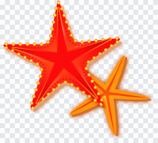 Flagge, Seestern, Zeichentrick, Comicfigur PNG