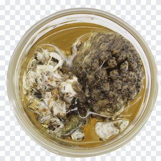 Loto, té, sopa, receta, hoja de té PNG