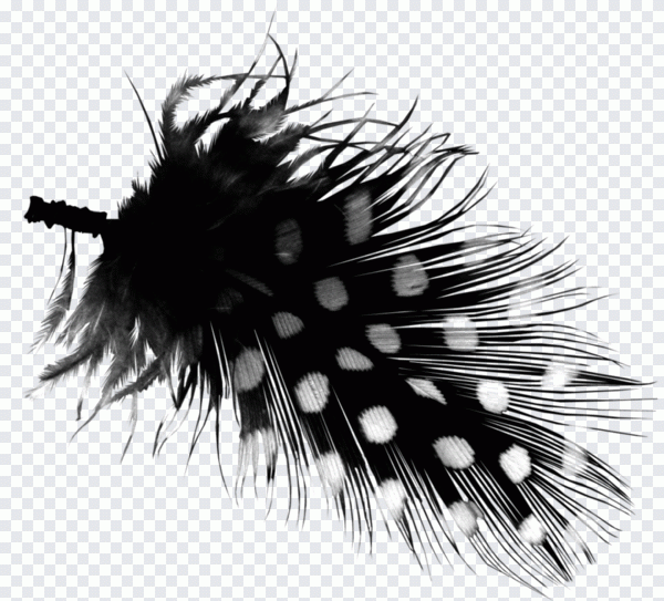 Pena, software, branco, preto, ponto PNG