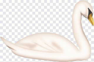 Cygnini Neck Beak, White Swan, white PNG