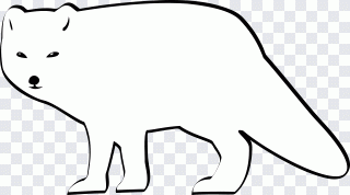 Renard, animal, Arctique, froid, fourrure PNG
