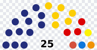Elecciones, texto, amarillo, círculo PNG