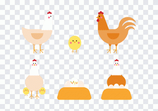 Phénix, coq, nouvel an chinois, poulet PNG
