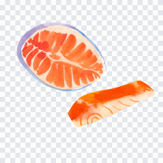 Fleisch, Fisch, Lachs, Wasser, Tinte PNG