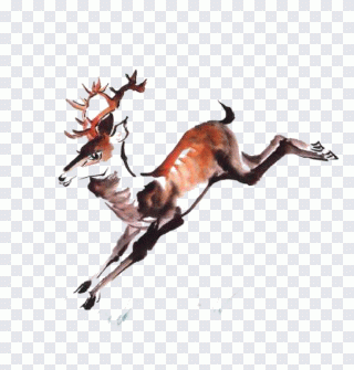 Red deer Ink wash painting, Running deer PNG