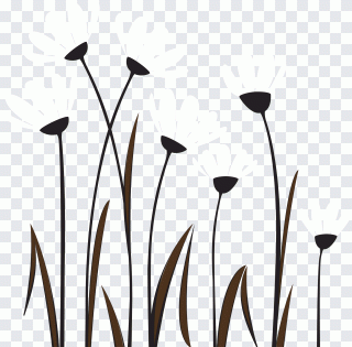 Black dandelion, botany, white, black Hair PNG