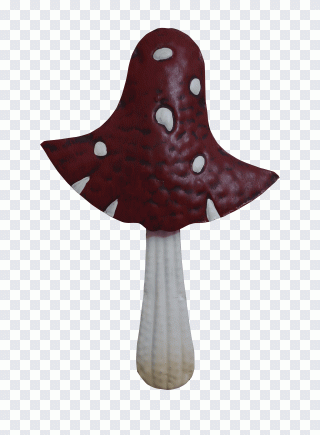 Mushroom, Fly Agaric, Forest, Nature, Autumn PNG
